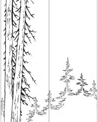 Пескоструйный рисунок Дерево 249